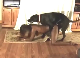 Legitimate zoo sex with a dark-skinned dog fucker