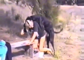 Hot lady is going to get fucked by dog from behind