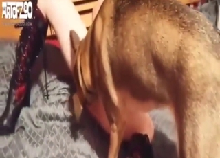 Zoo porn showing a sexy animal fucker on a bed