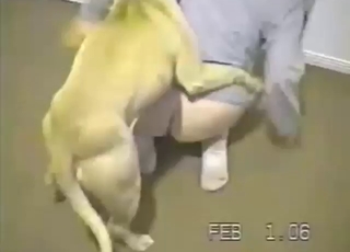 Her curves are immense, she loves doggystyle