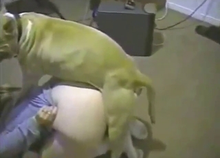 Her curves are immense, she loves doggystyle