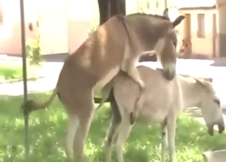 Who wouldn't pay some serious dosh for this