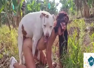Zoophile brunette gets fucked by a hard white dog