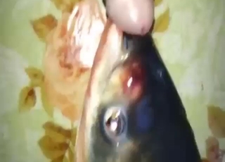 ปลา