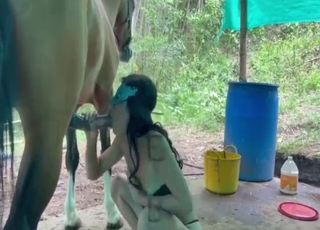 Hispanic zoo porn showing a brunette vs stallion