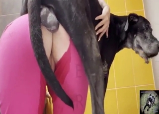 Pink get-up hottie enjoys bestiality sex with dog