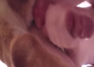 Big dick dog fucking his juicy ass today