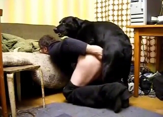 Creampie is 97% certain when a dog fucks you