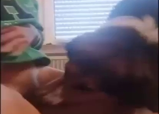 Furry beast is going to eat her out in a POV vid