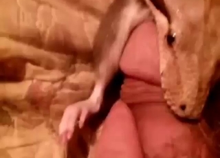 Zoo porn with snakes just feels so fucking taboo