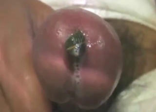 Urethra entrance from a sexy-looking leech
