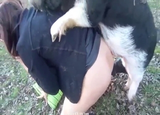 Tits covered, pussy exposed, sexy pig inside