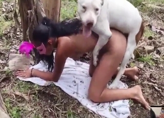 Appealing women taking turns with hot dogs