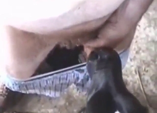 Oral zoo sex in POV with hot-ass orgasms