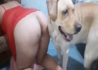 ねじれた獣姦セックスは彼女がそれを受け入れることを示している