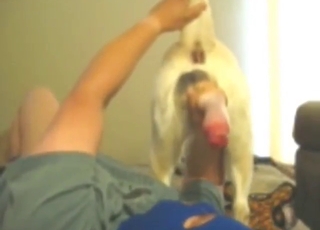 Hot fellatio for a beast that needs hot oral