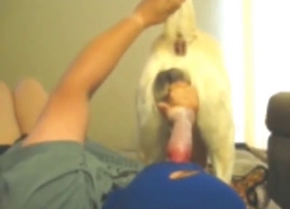 Hot fellatio for a beast that needs hot oral