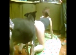 Dark-haired chick with a meaty vag fucks a dog