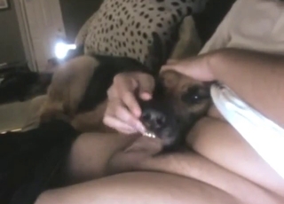 His blowjob bestie is the dog that sucks him off