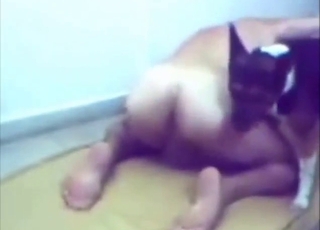 Before going crazy orgasming, guys get ass-fucked