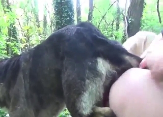 blond-haired chick with a pink vag needs dick