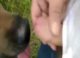 Hot pleasure with a dog that licks nice dick