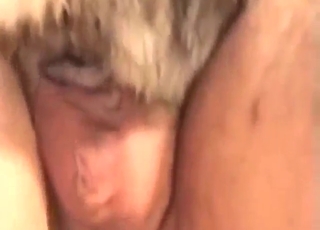 His successful cowgirl domination is THE BEST