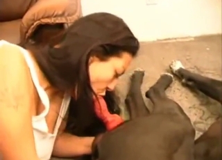 White get-up brunette fucking her favorite dog