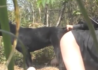 Zoo porn looks good whenever there's a guy