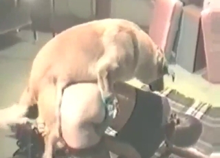 Dog smashes a sexy German MILF who climaxes