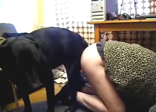 Home fuck movie with a black dog dicking deep