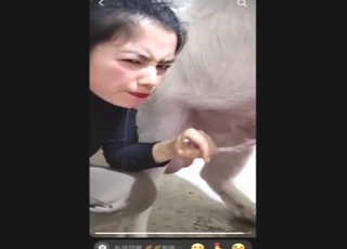 Pig from China fucking this brunette's wet vag