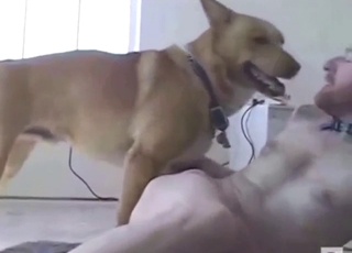 Gay anal loving with a guy who wants doggystyle