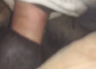 Creampied ass of a stallion gets to fart hard