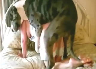 Dog with a big cock drills into the guy's wife