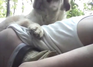Outdoor dog fuck movie with a guy bottoming