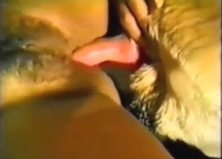 Soft-looking zoophile riding a brown dog's dick