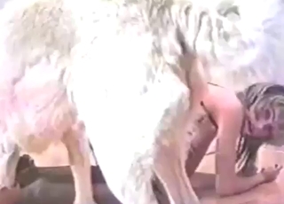 Bestiality porn shows gal in black lingerie w/ dog