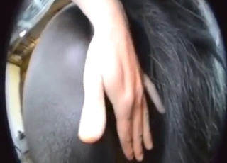 Black pony with a big pussy gets to enjoy rubbing