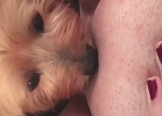 Dog-watcher girl turns out to be a zoophile