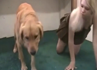 Zoophile beauty shows her ass and looks hot