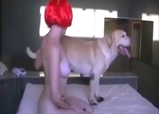 Bestiality porn from Brazil: hot bitch bottoms