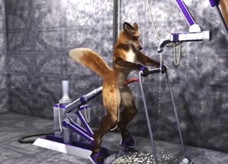 Zoo porn shows a furry creature getting off