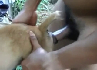 Zoophile porn from Thailand: dog takes it well