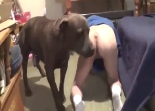 Slutty zoophile with dark hair takes dog dick