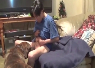 Slutty zoophile with dark hair takes dog dick