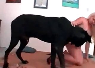 Intense hound is having sexual fun with a lovely blonde