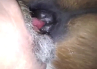 Slutty mare in a zoo porn movie with fingering