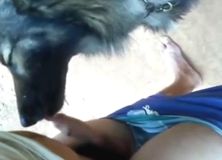 Zoophile bestiality porn with a nice, long BJ