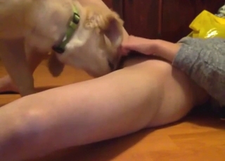 Insane zoophile porn with a pussy getting licked
